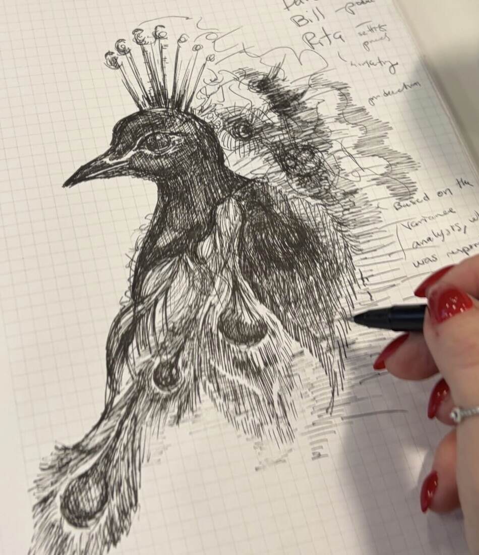 The peacock mid-drawing, pen in hand over graph-paper class notes